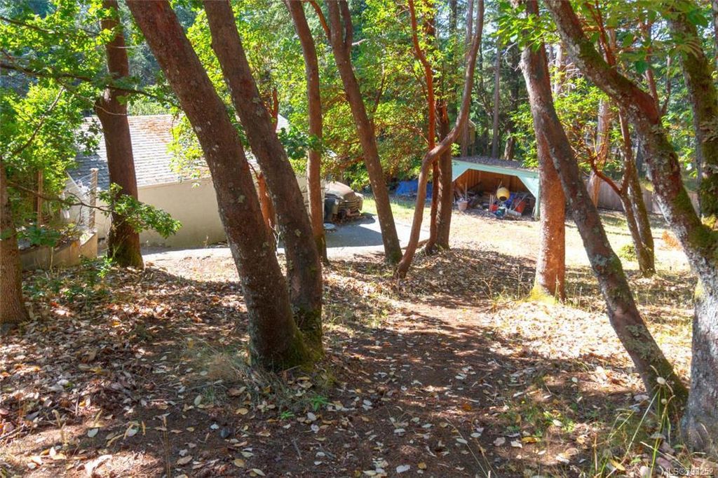 listing image 16049304596153803253