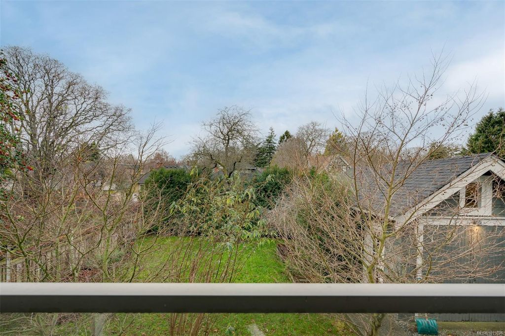 listing image 16049986726411419787
