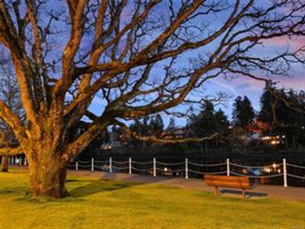 listing image 16049905675560310100