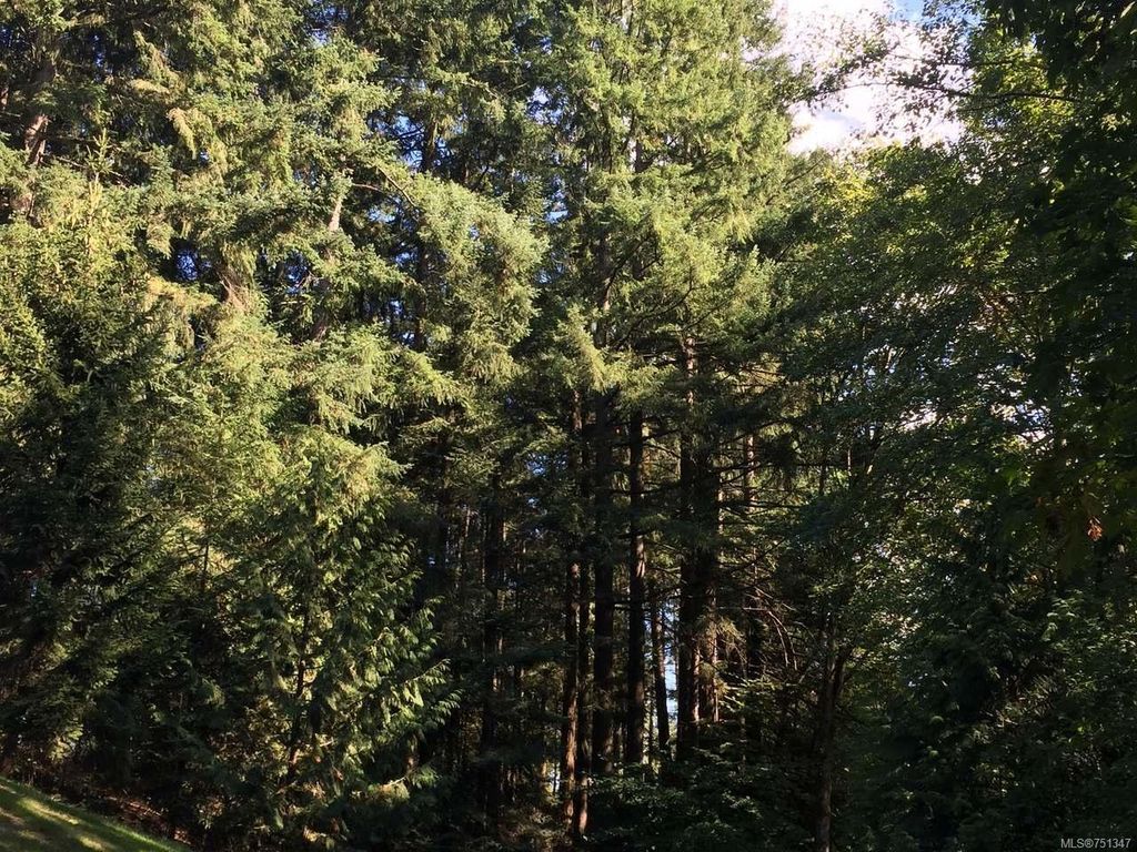 listing image 16044187090302938690