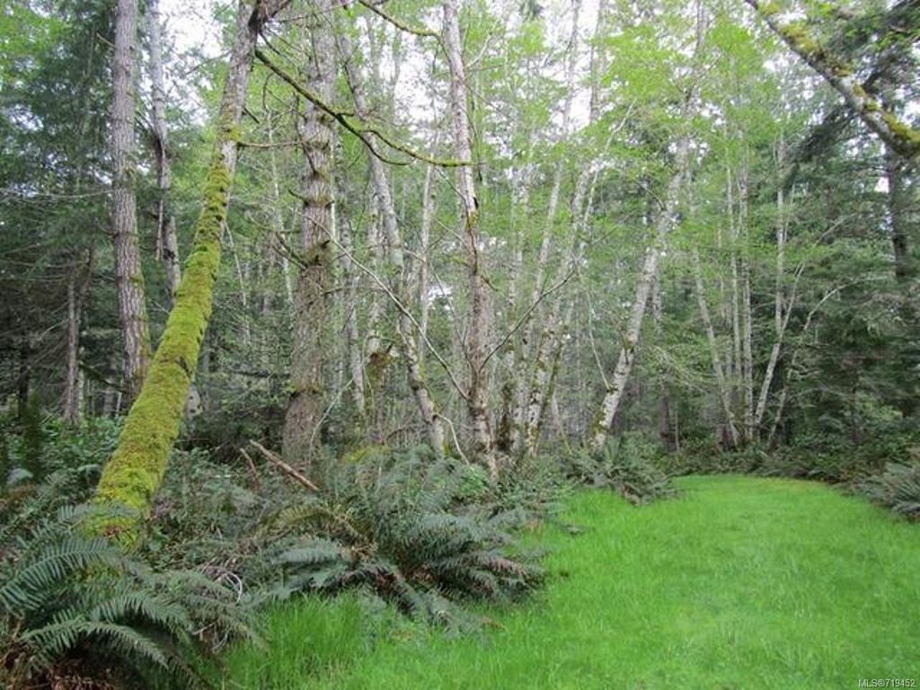 listing image 16046885193188908315