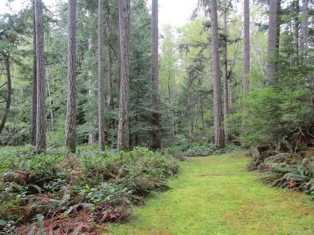 listing image 16042634036915843754