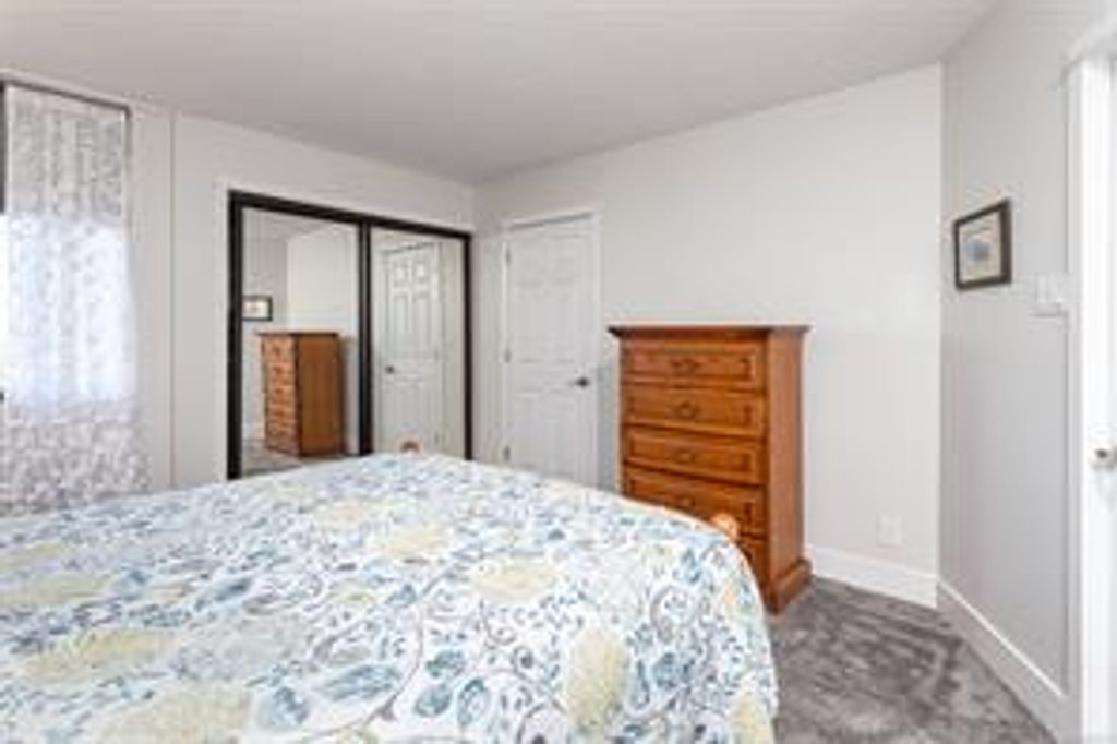 listing image 1604823269404