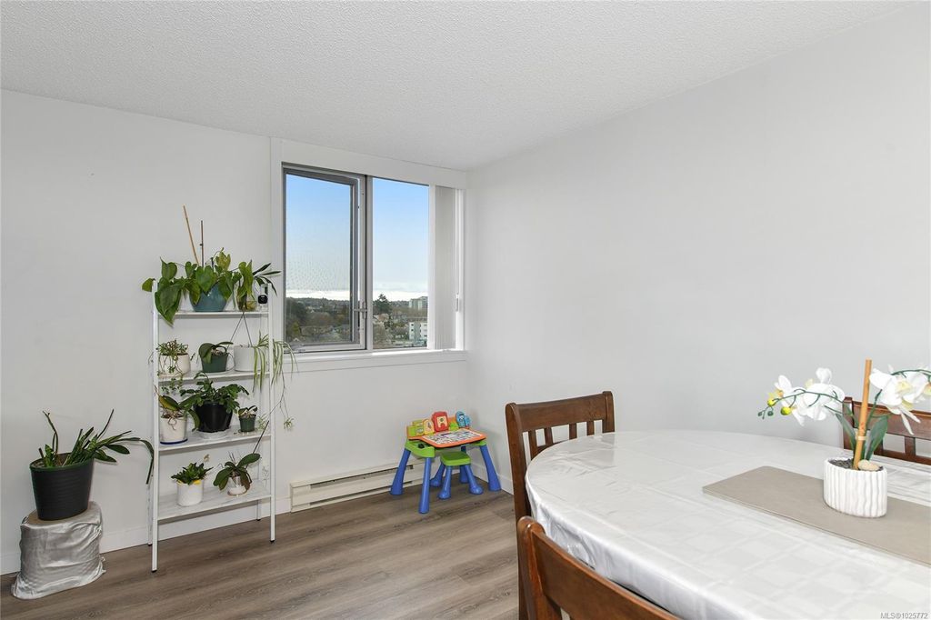 listing image 16042762273602464789