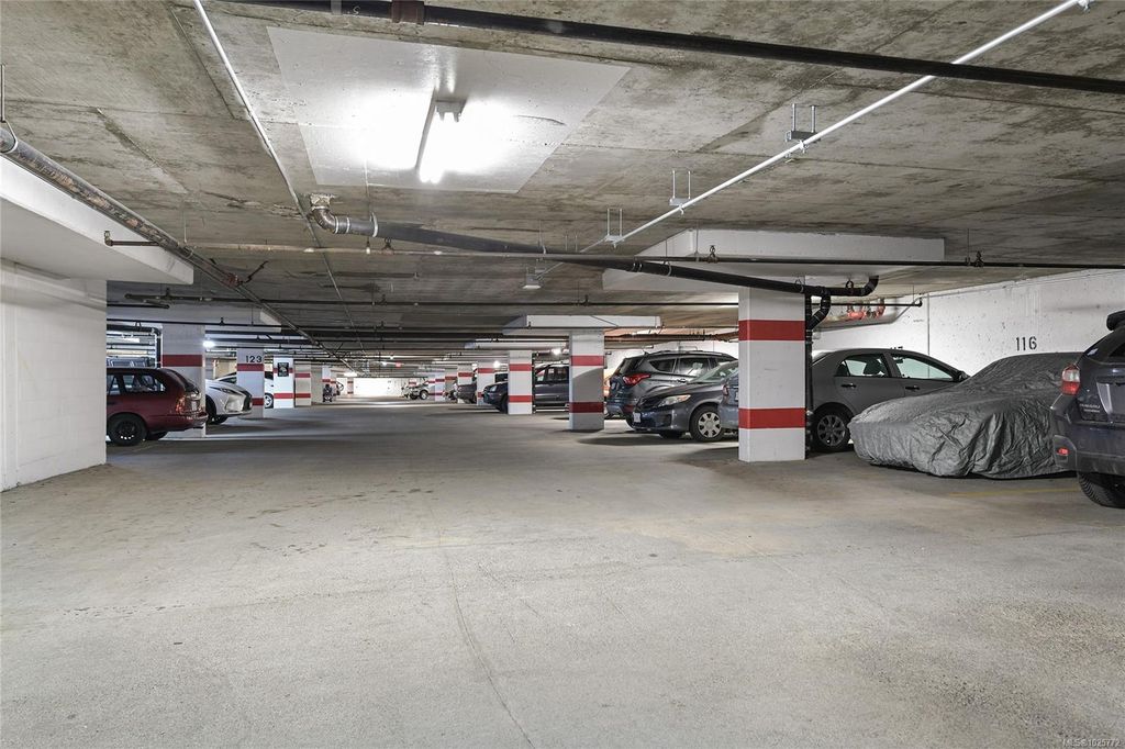 listing image 16048095091121664135