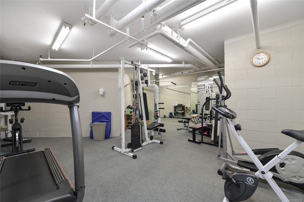 listing image 16040420927103629946