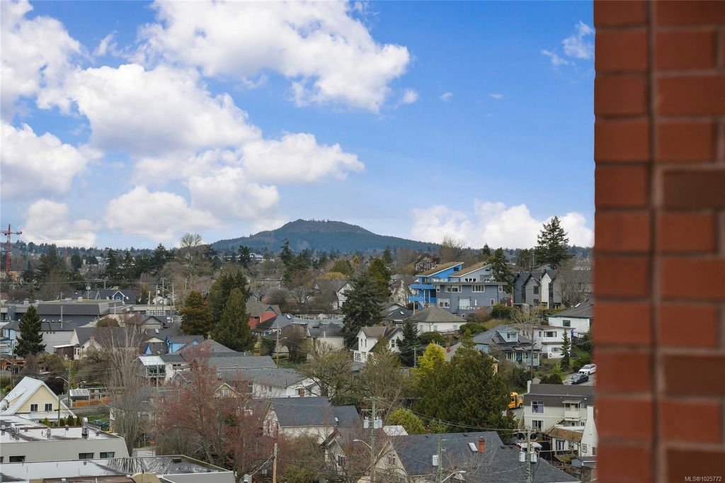 listing image 16043215975444174105