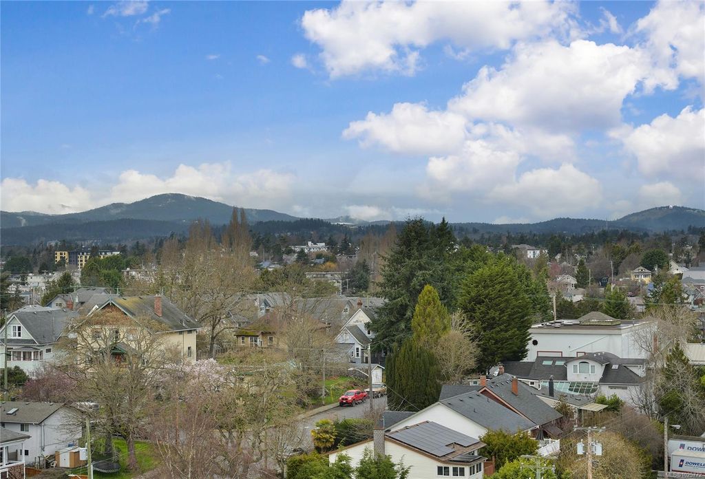 listing image 16049480656902105796