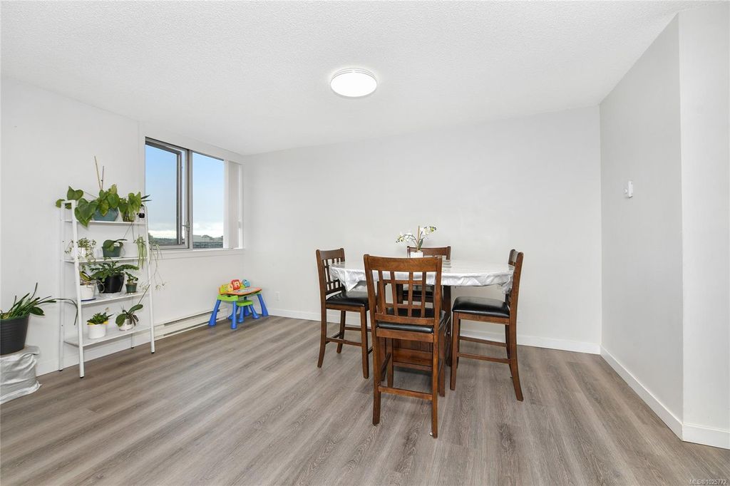 listing image 16043771607619458251