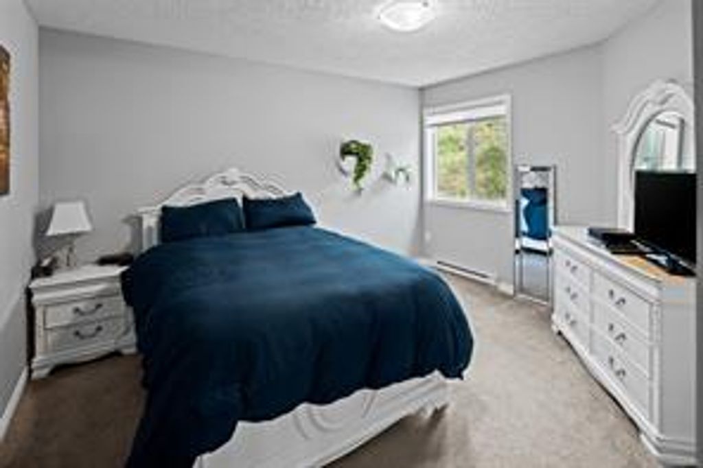 listing image 16042570582884