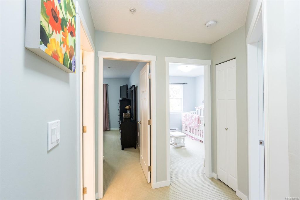 listing image 16041006007190