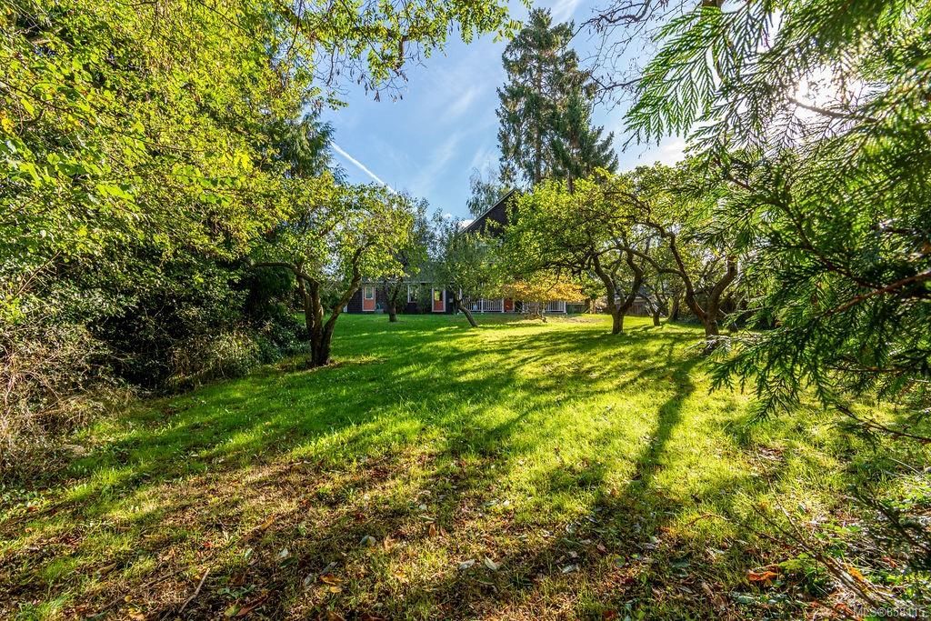 listing image 16045018010858864657