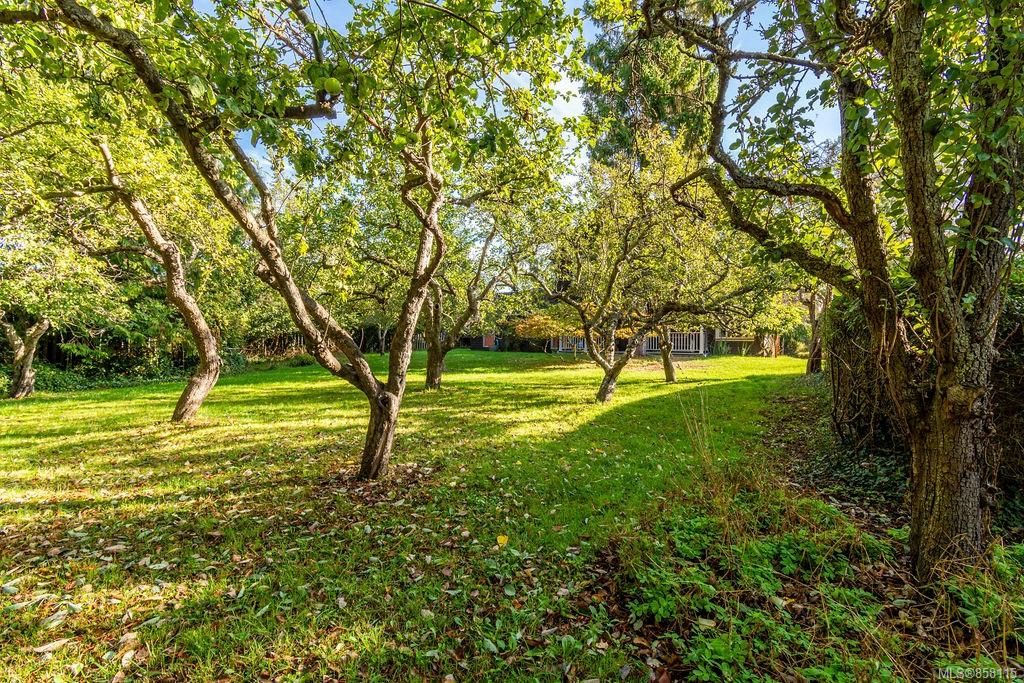 listing image 16042500250414534810