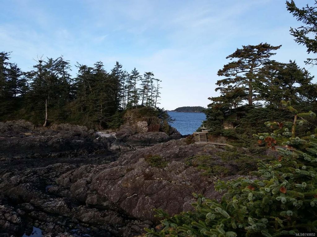 listing image 16048071311422391984