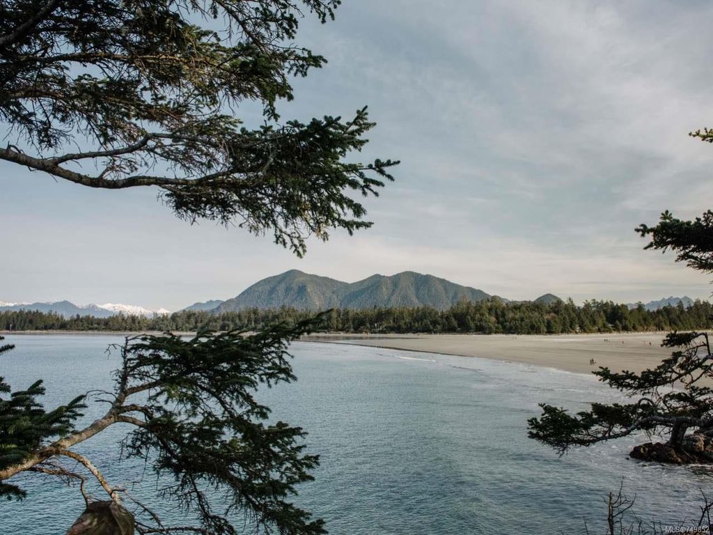 listing image 16048702602589145477