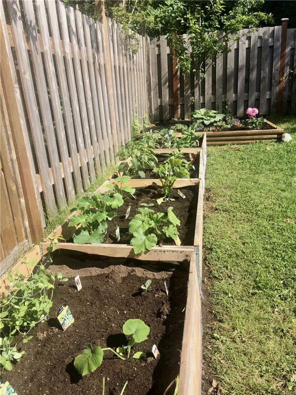 listing image 16047822471150197709