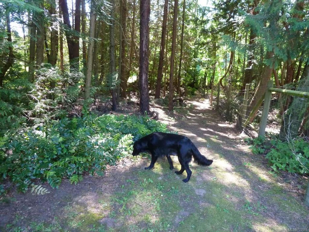 listing image 16049346753478849933