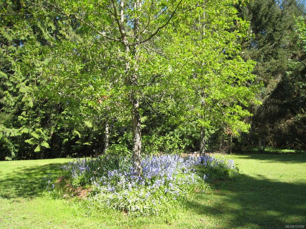 listing image 16041509443136430647