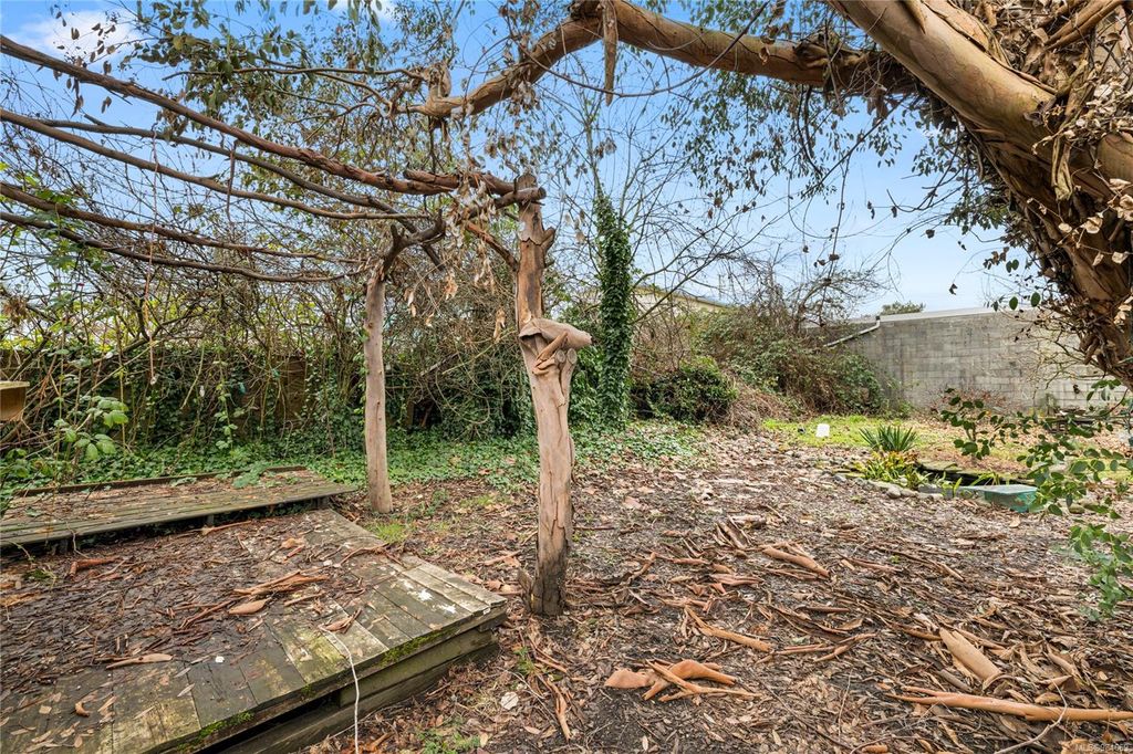 listing image 16049573432422043531