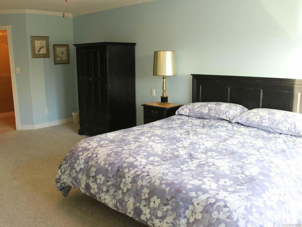 listing image 16043547796899