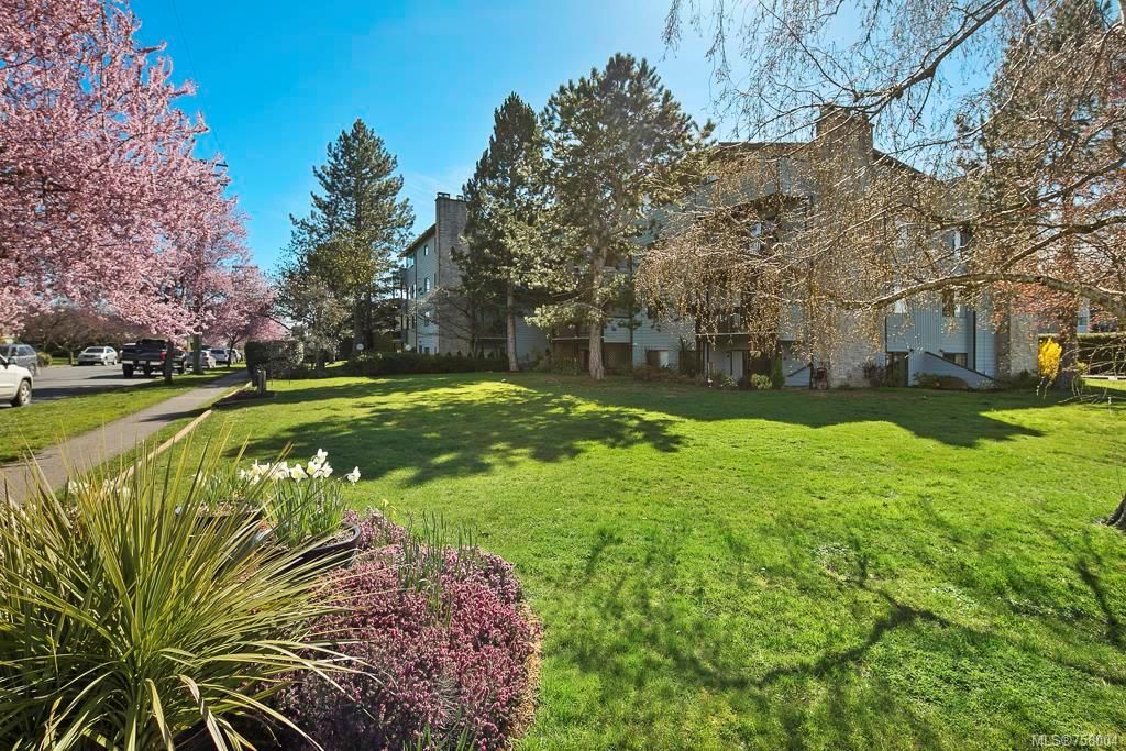 listing image 16047009953537954828