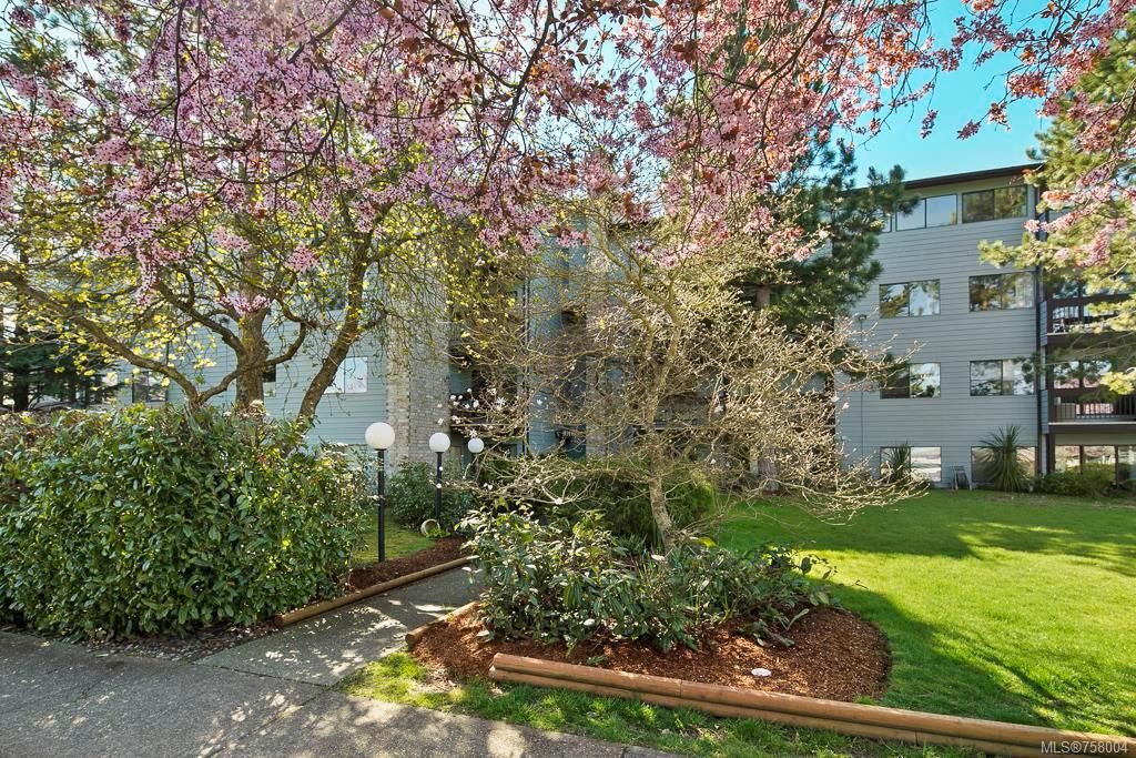 listing image 16046401785964139191