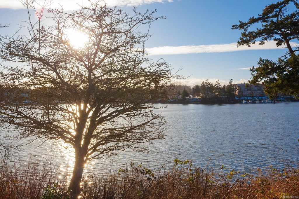 listing image 16043893178101466617