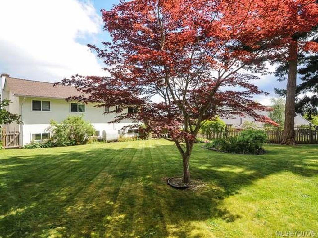 listing image 16044351241556013843