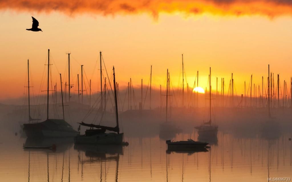 listing image 16043968370926008814