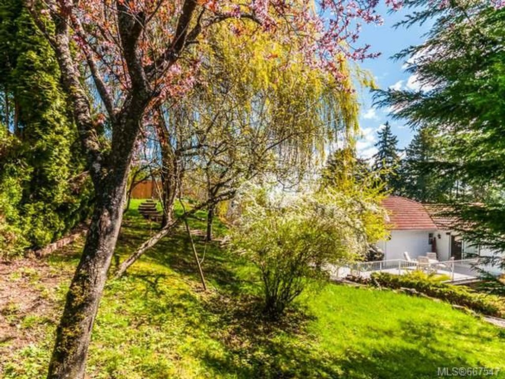 listing image 16047391945189802679