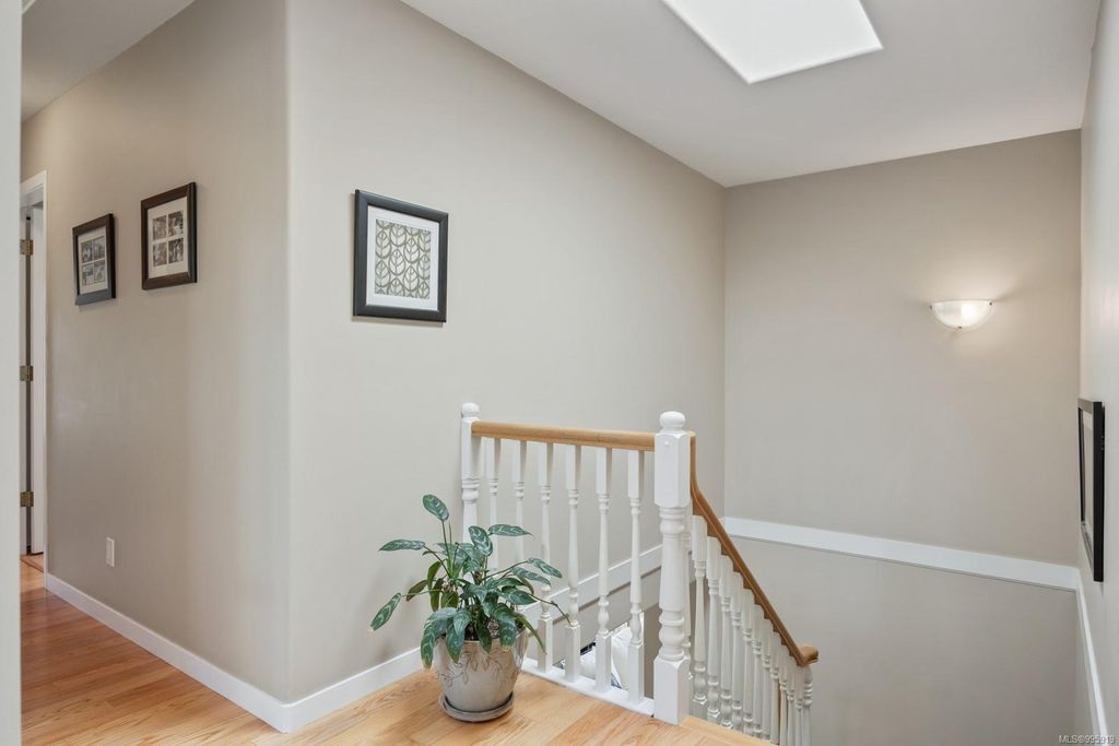 listing image 16049421308760727655