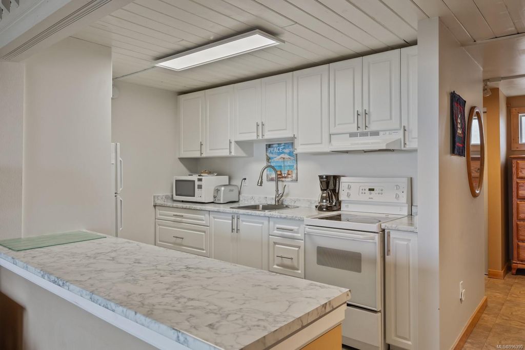 listing image 16044412524910526893