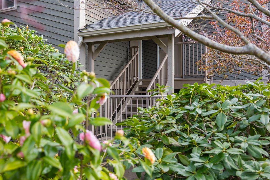 listing image 16045383266660502336
