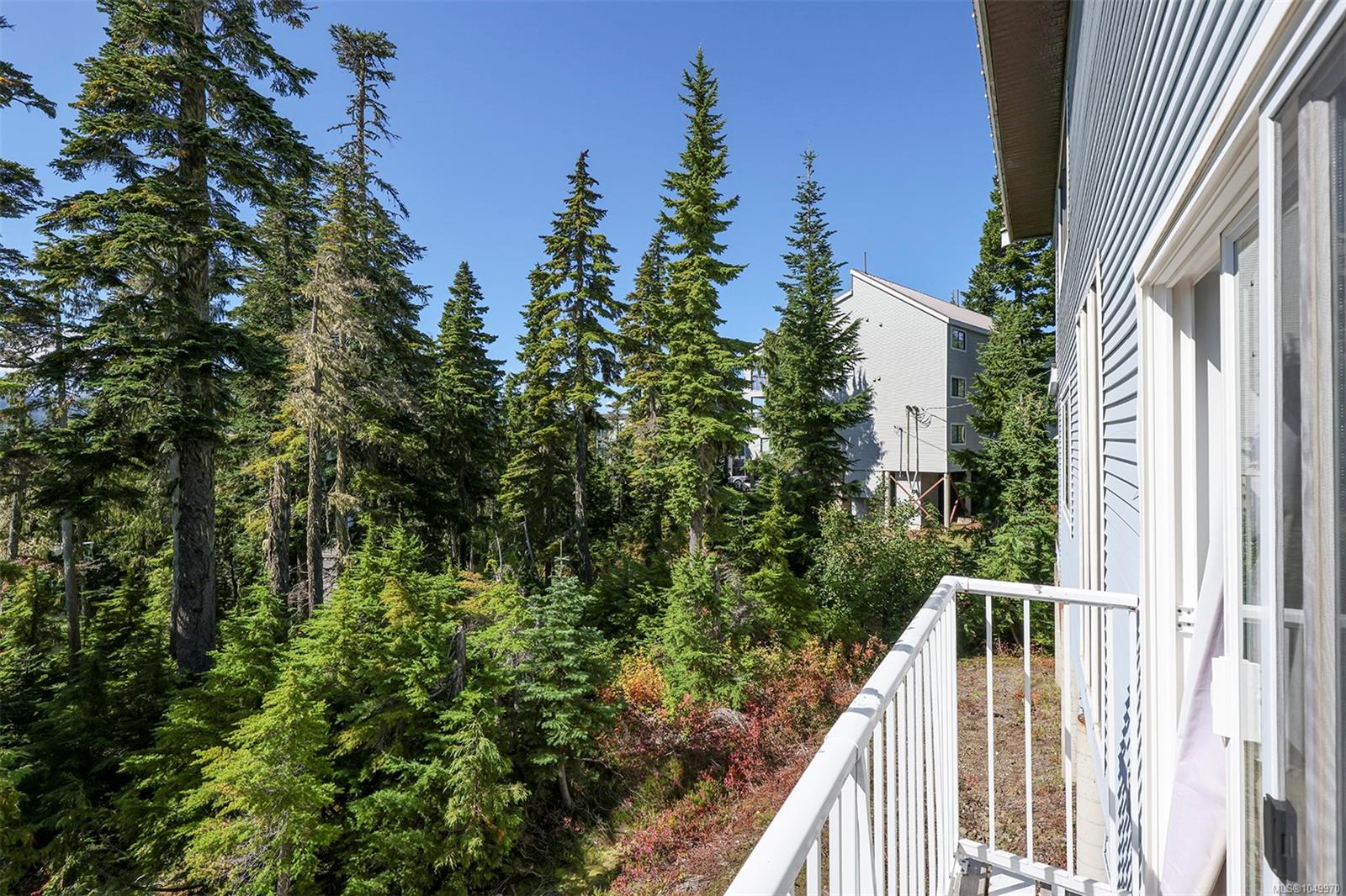 687 Castle Crag Cres 1