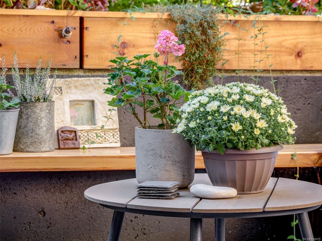 listing image 16043611873215464503