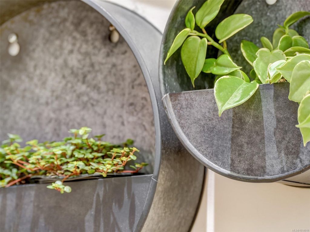 listing image 16042421270690356127