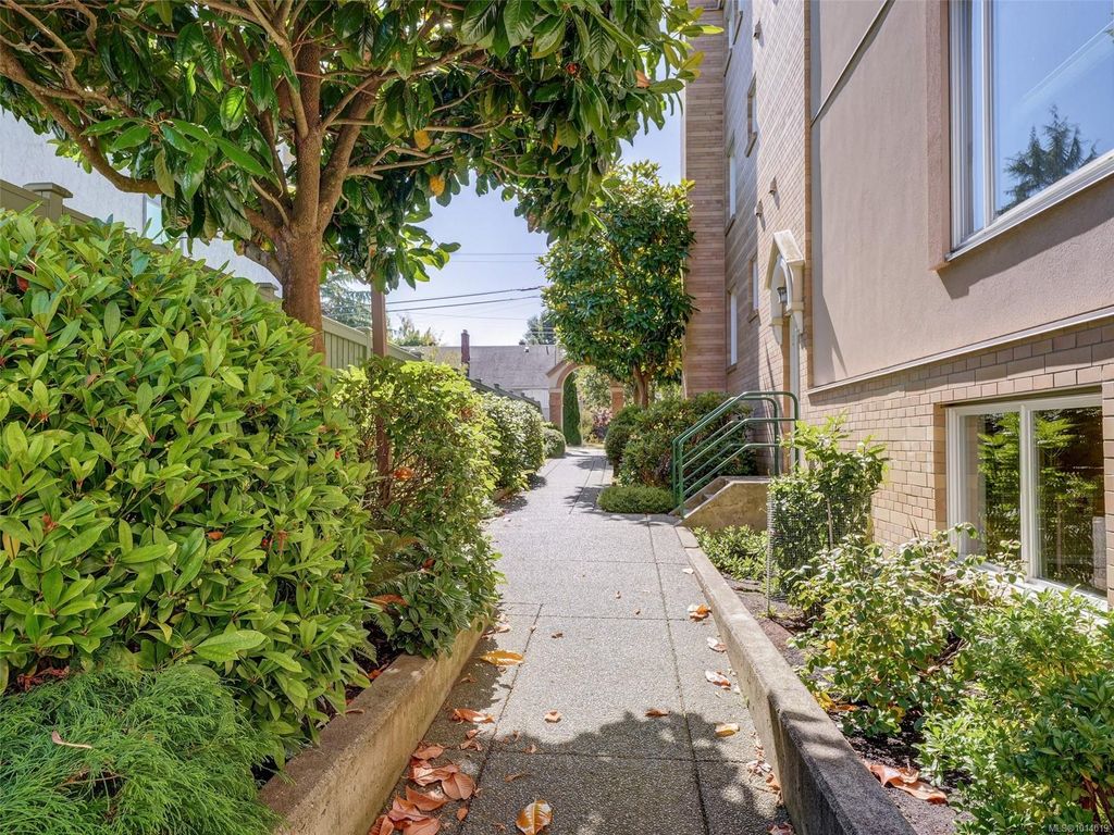 listing image 16043969862013784175