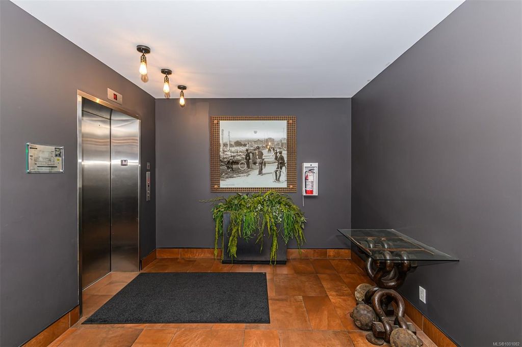 listing image 16045002706449042956