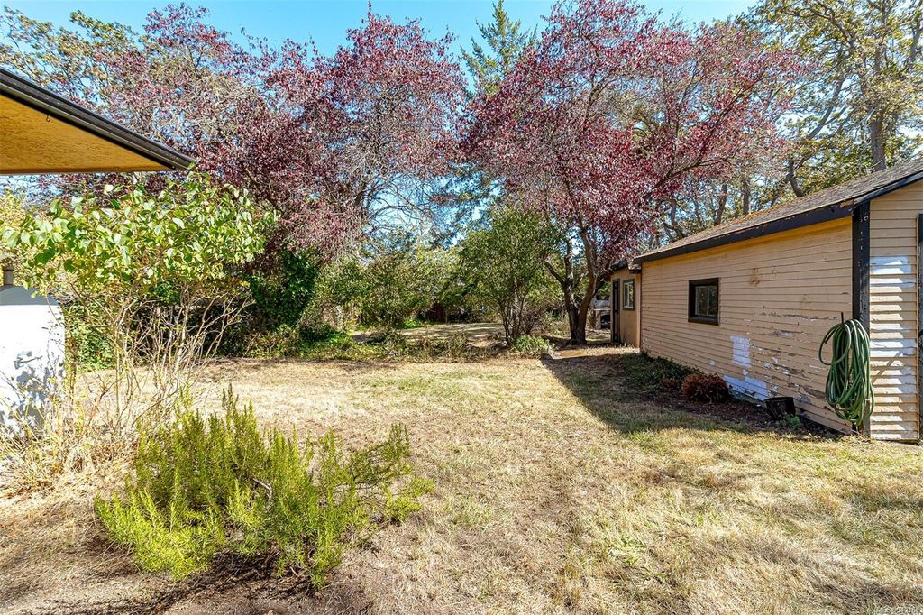 listing image 16046294783561957524