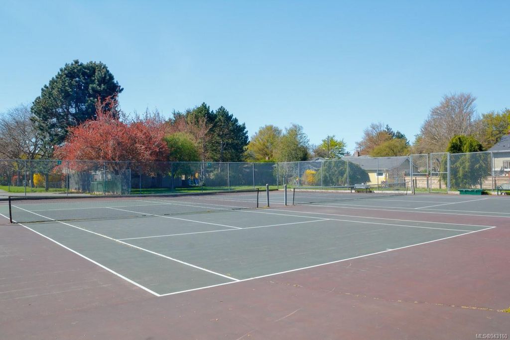 listing image 16046520039820386255