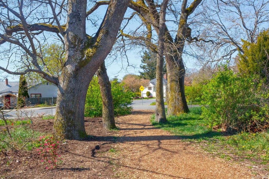 listing image 16048832124471390067