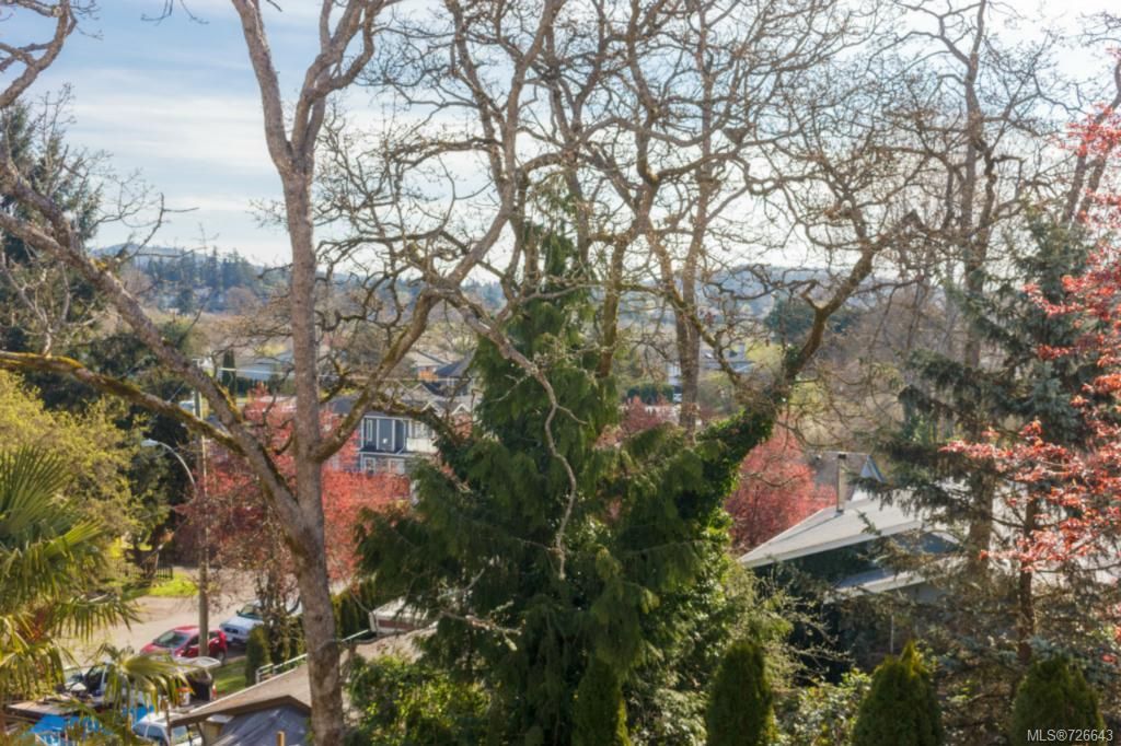 listing image 16047146061367539413
