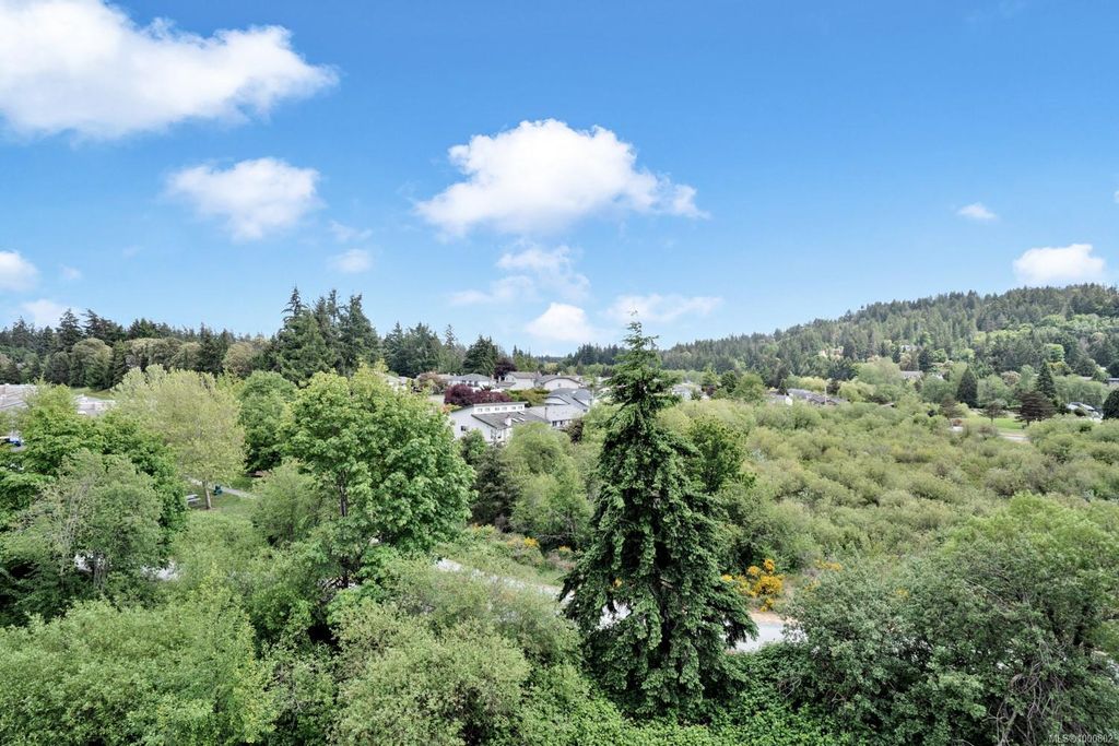 listing image 16049229449255513999