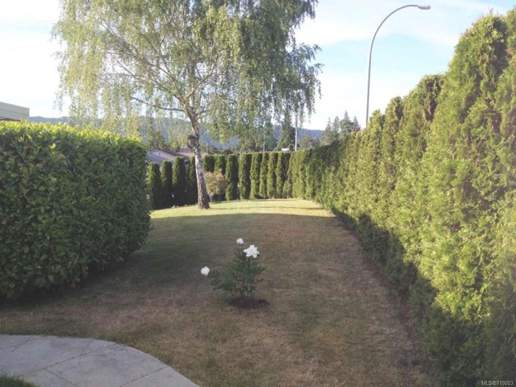 listing image 16048630448007088263