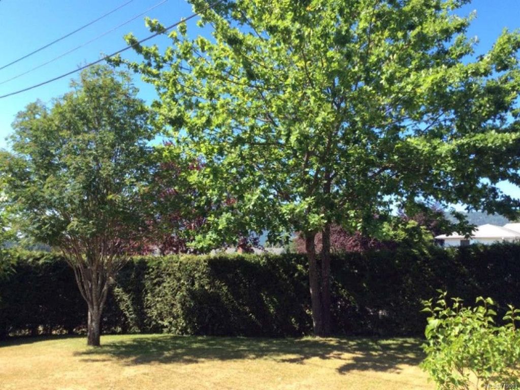 listing image 16045176405832726586
