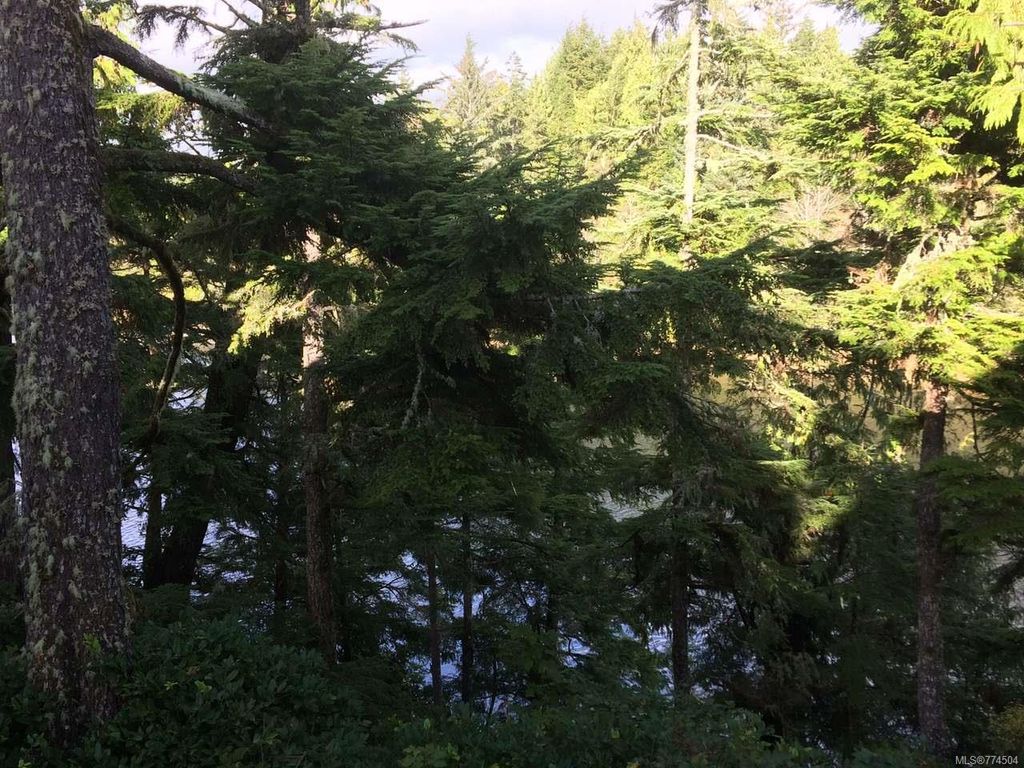 listing image 16046144301819385193