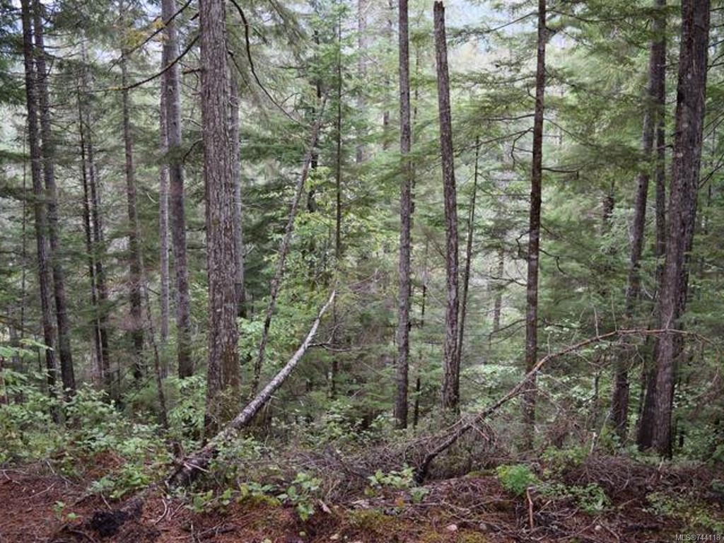 listing image 16043382469405028204