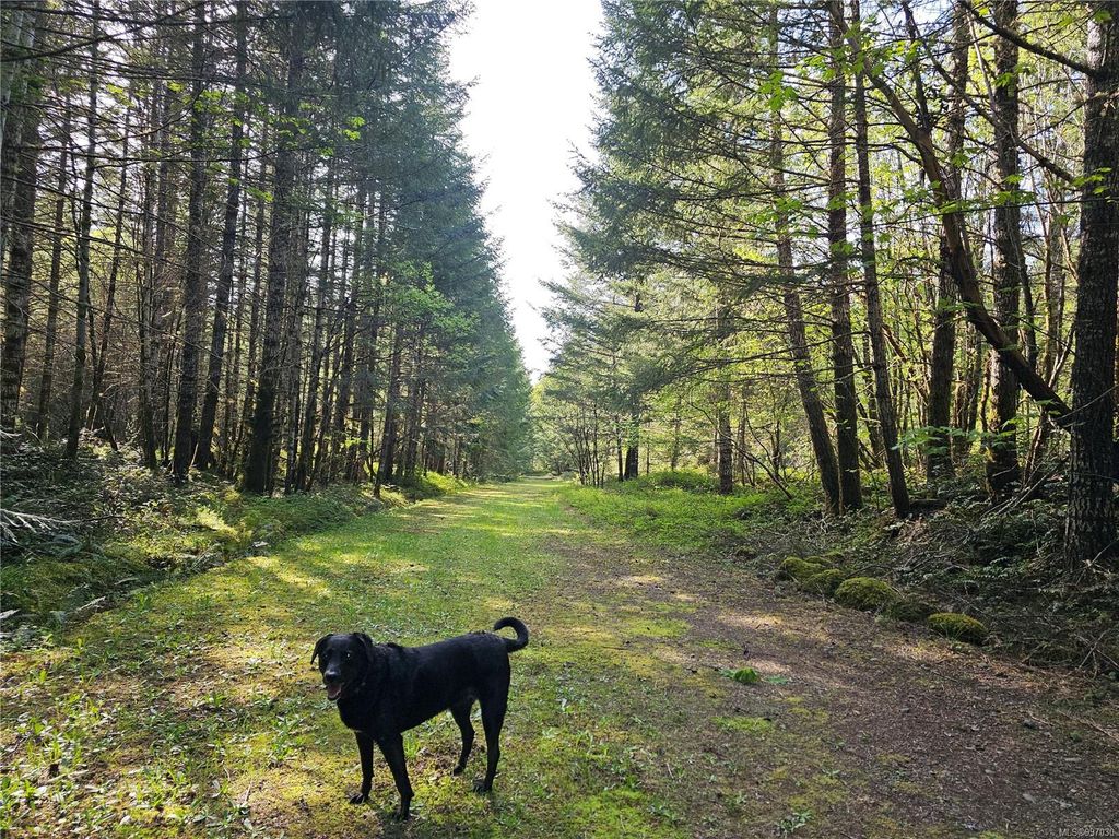 listing image 16047055413843887030