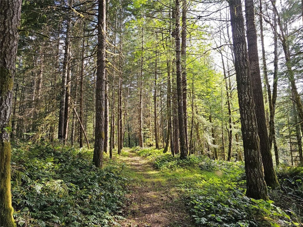 listing image 16041068788577372986