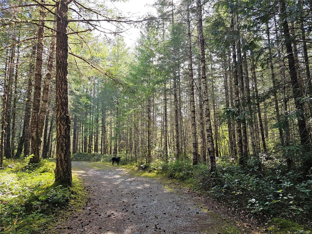 listing image 16047567227830800471